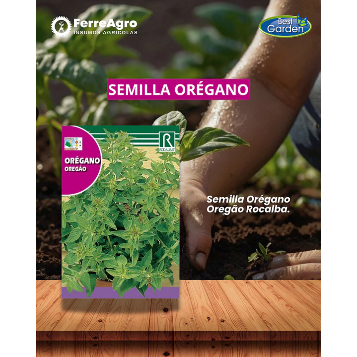ROCALBA SEMILLA OREGANO 1