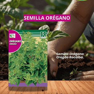 ROCALBA SEMILLA OREGANO 0.5 GRS / BEST GARDEN 