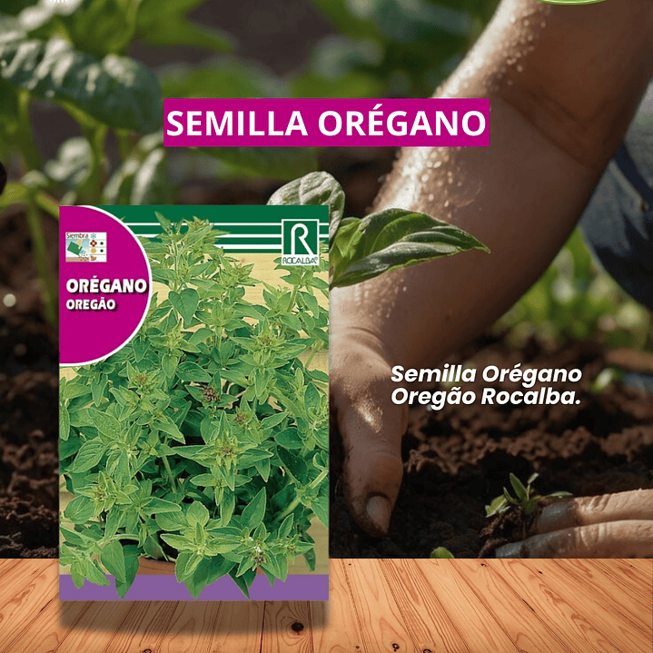 ROCALBA SEMILLA OREGANO 0.5 GRS / BEST GARDEN  1