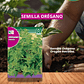 ROCALBA SEMILLA OREGANO 0.5 GRS / BEST GARDEN  - Miniatura 1