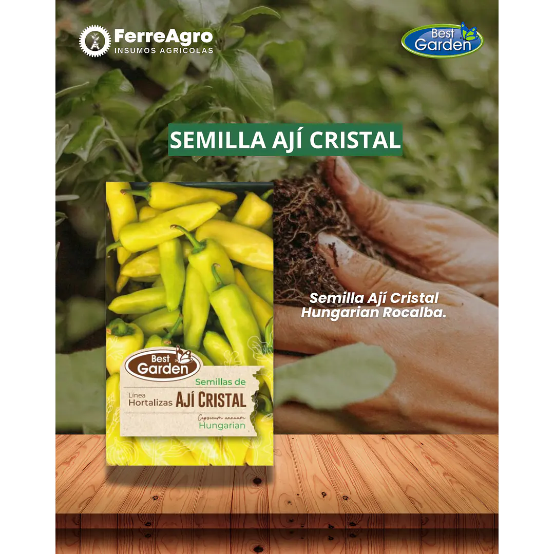 SEMILLA AJI CRISTAL  3 GRS / BEST GARDEN  1