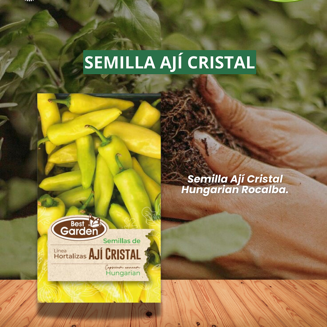 SEMILLA AJI CRISTAL  3 GRS / BEST GARDEN  1