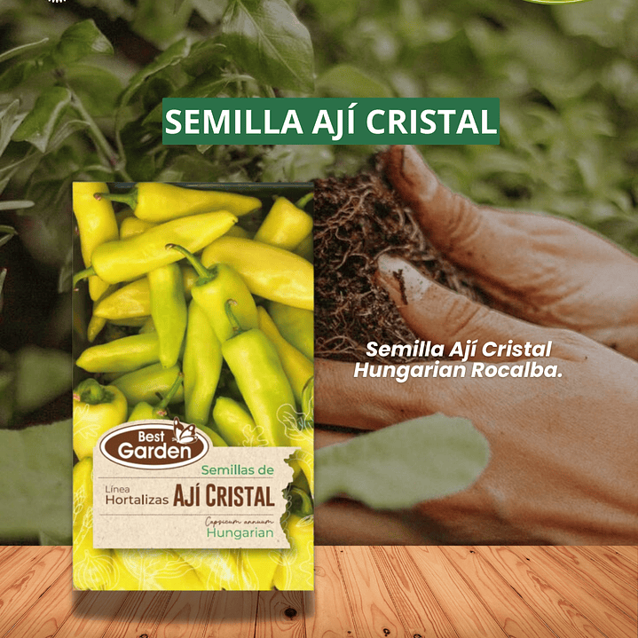 SEMILLA AJI CRISTAL  3 GRS / BEST GARDEN  1