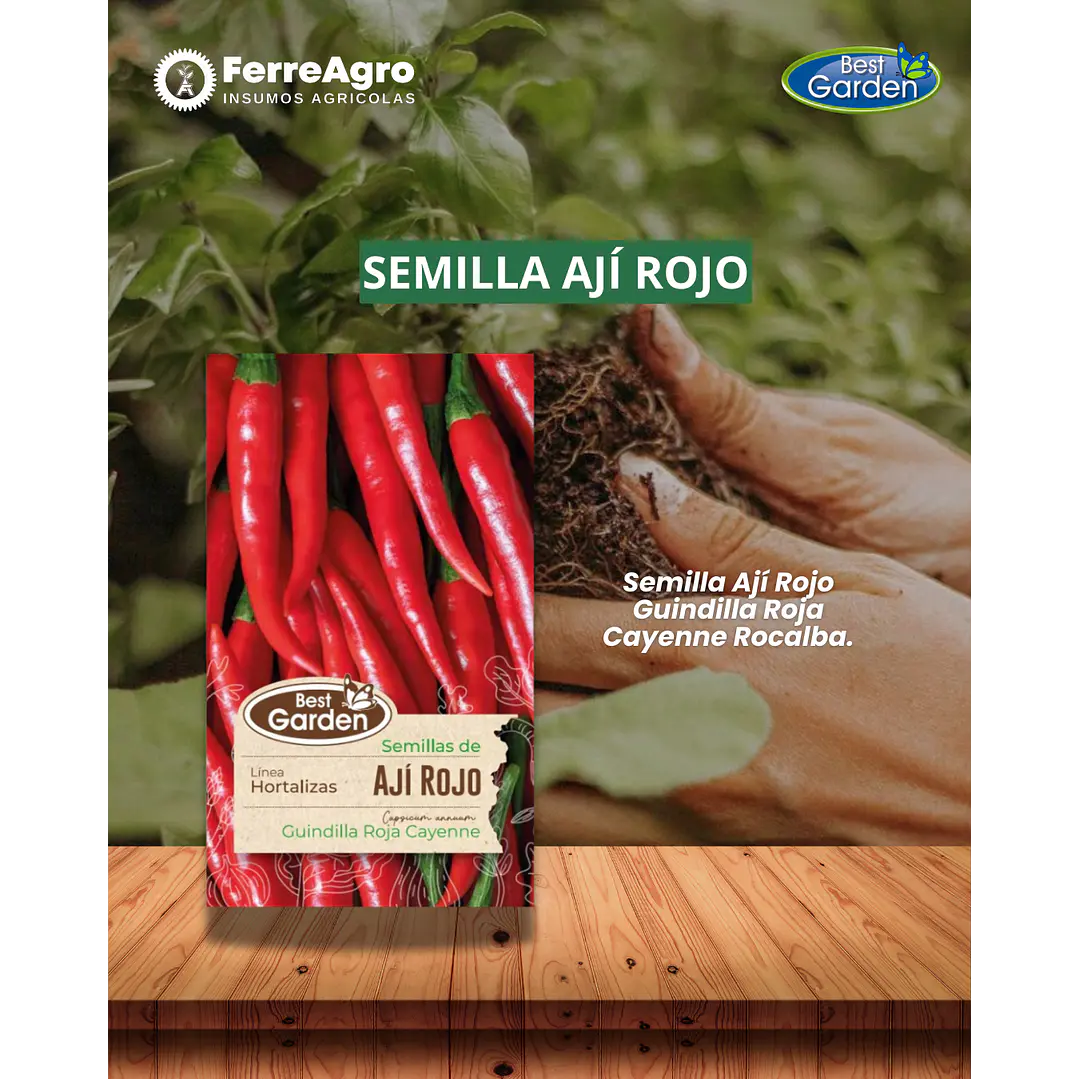 SEMILLA AJÍ ROJO 1 GR  / BEST GARDEN  1