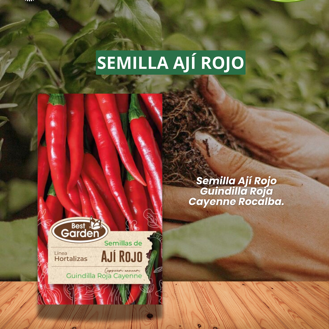 SEMILLA AJÍ ROJO 1 GR  / BEST GARDEN  1