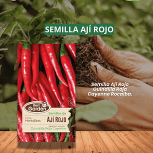 SEMILLA AJÍ ROJO 1 GR  / BEST GARDEN 