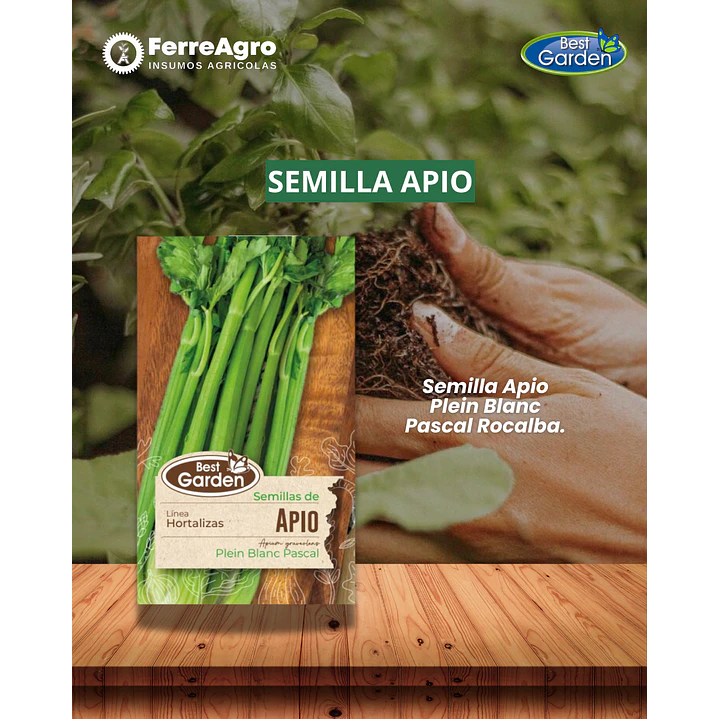 SEMILLA APIO 2 GRS/ BEST GARDEN  1