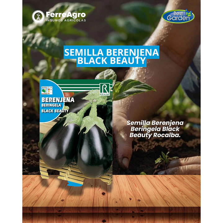 ROCALBA SEMILLA BERENJENA 1