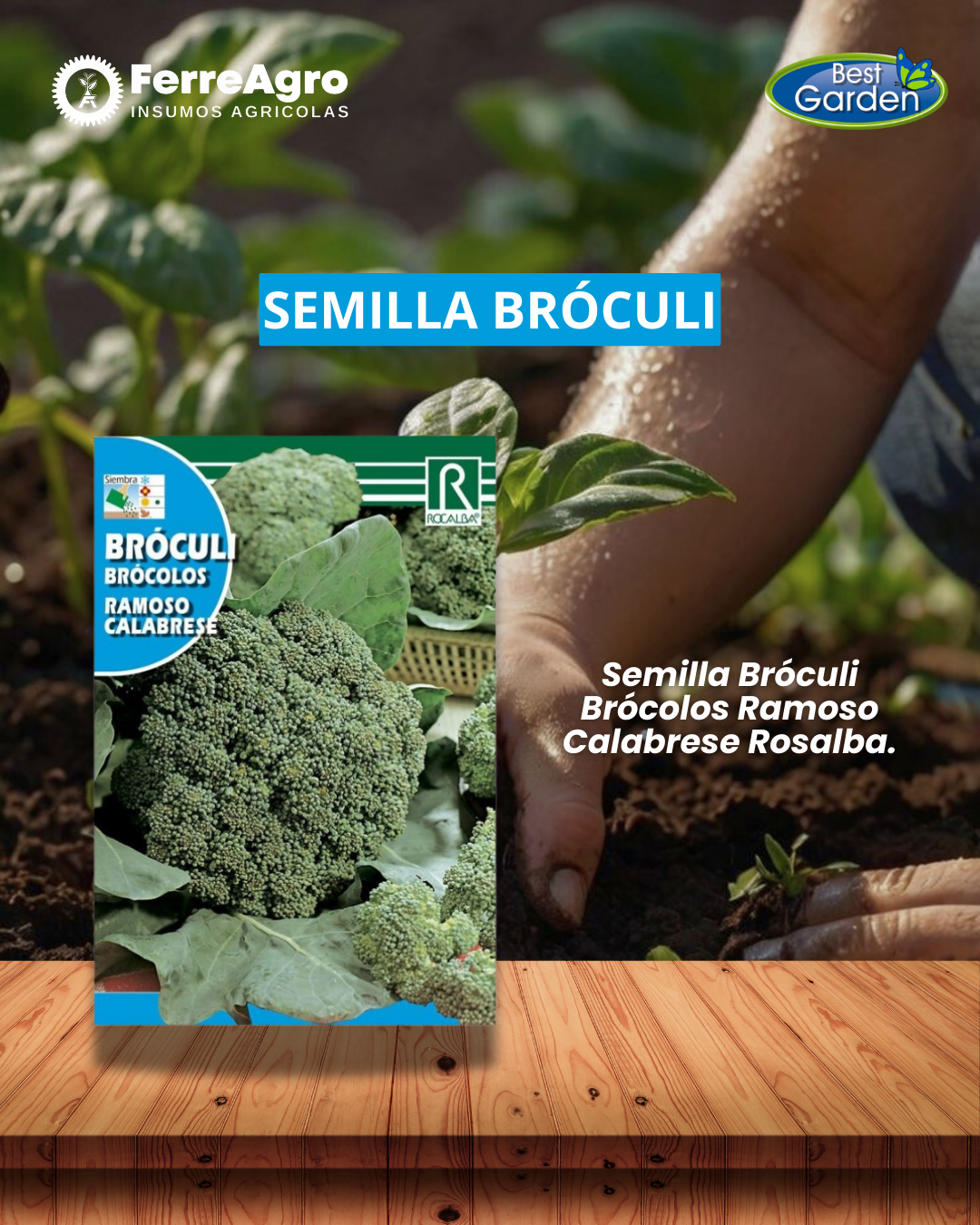 ROCALBA SEMILLA BRÓCOLI (RAMOSO CALABRESE)