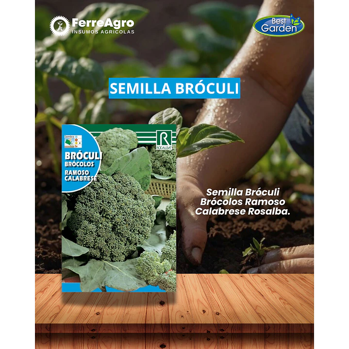 ROCALBA SEMILLA BRÓCOLI (RAMOSO CALABRESE) 1