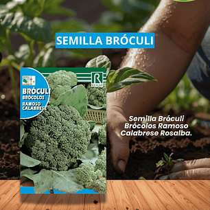 ROCALBA SEMILLA BROCÓLI 5 GR  (RAMOSO CALABRESE) /BEST GARDEN