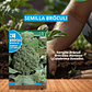 ROCALBA SEMILLA BROCÓLI 5 GR  (RAMOSO CALABRESE) /BEST GARDEN - Miniatura 1