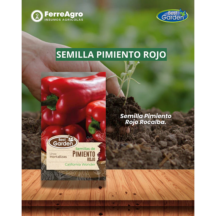 SEMILLA DE PIMIENTO ROJO 1 GR / BEST GARDEN  1