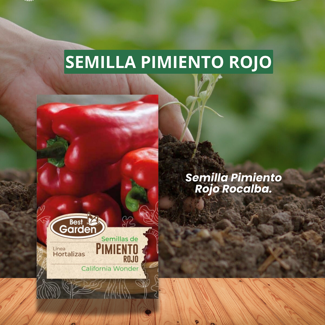 SEMILLA DE PIMIENTO ROJO 1 GR / BEST GARDEN  1