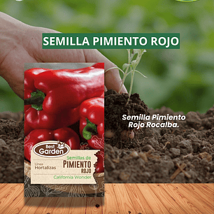 SEMILLA DE PIMIENTO ROJO 1 GR / BEST GARDEN 
