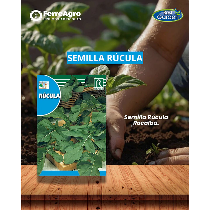 ROCALBA SEMILLA RÚCULA 1