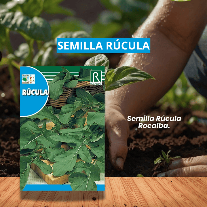 ROCALBA SEMILLA RÚCULA 6 GRS / BEST GARDEN  1