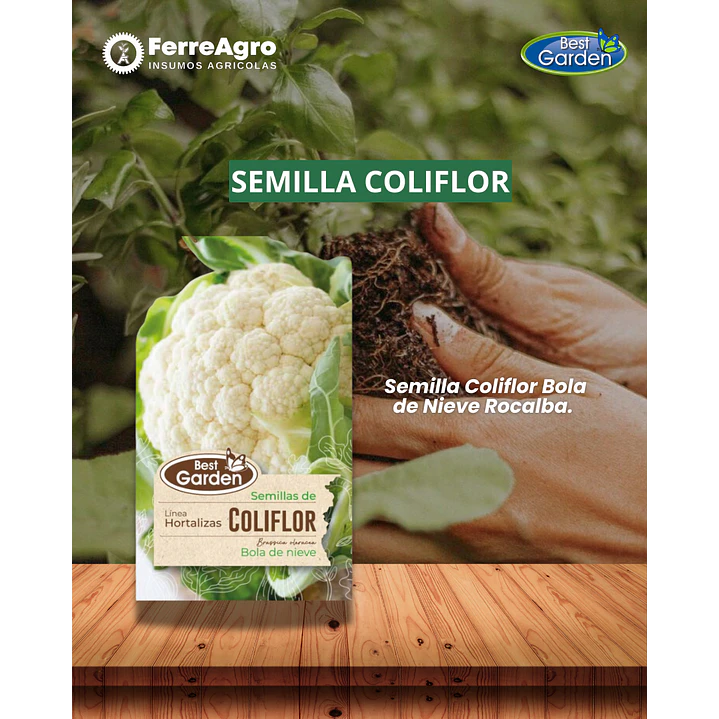 SEMILLA COLIFLOR 3 GRS / BEST GARDEN  1