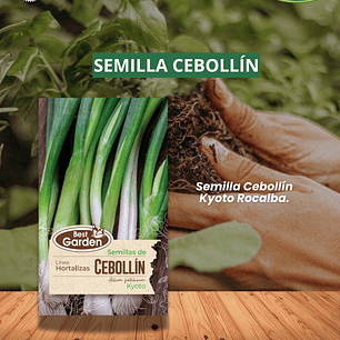 SEMILLA CEBOLLÍN KYOTO 1 GR / BEST GARDEN 