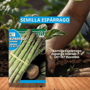 ROCALBA SEMILLA DE ESPARRAGO 3 GRS/ BEST GARDEN 