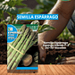 ROCALBA SEMILLA DE ESPARRAGO 3 GRS/ BEST GARDEN  - Miniatura 1