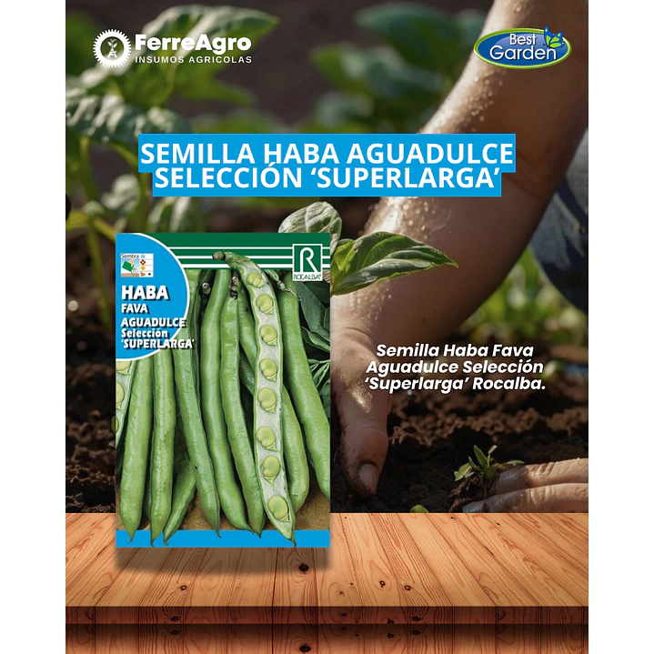 ROCALBA SEMILLA HABA 1