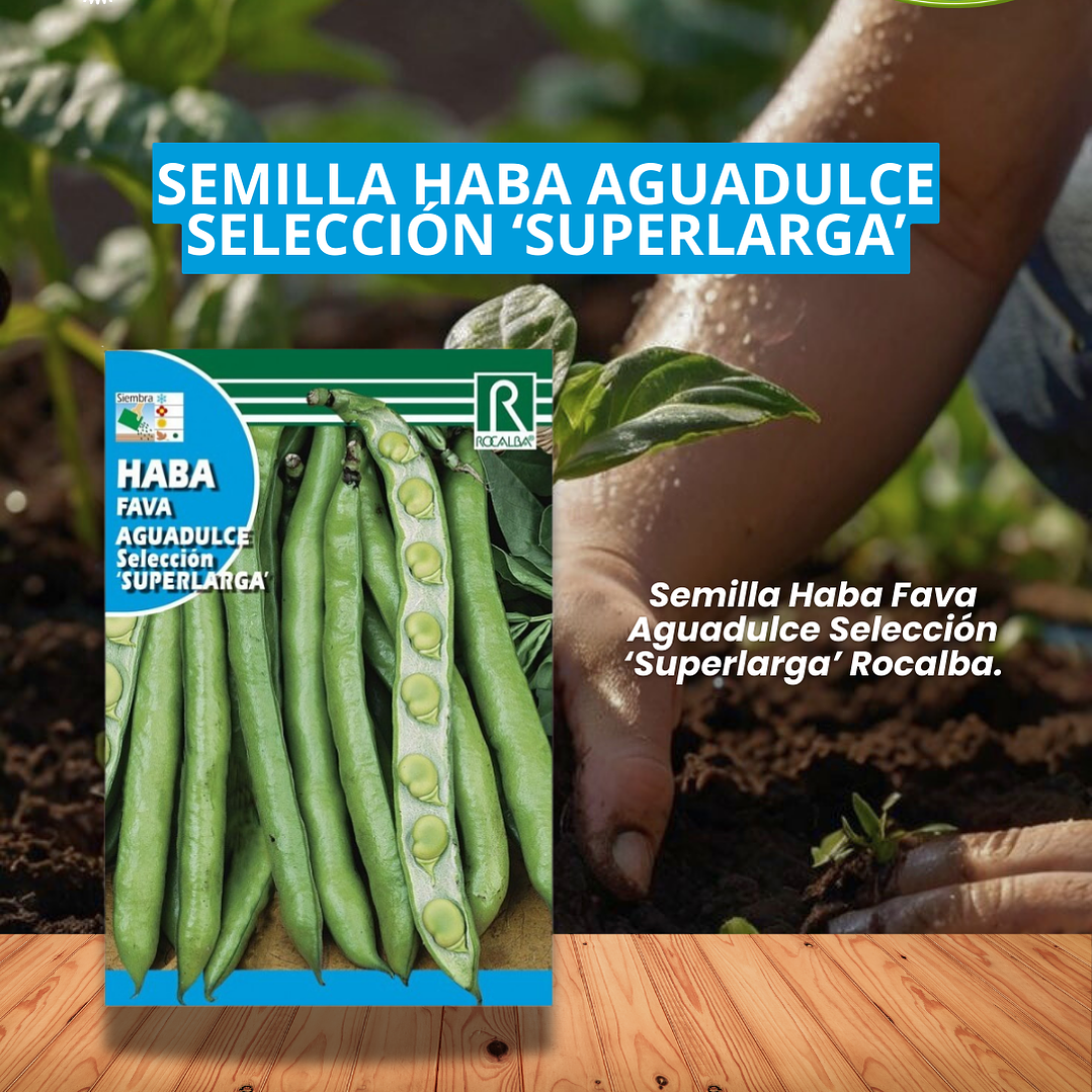 ROCALBA SEMILLA HABA/BEST GARDEN  1