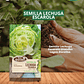SEMILLA LECHUGA ESCAROLA 4 GR / BEST GARDEN  - Miniatura 1
