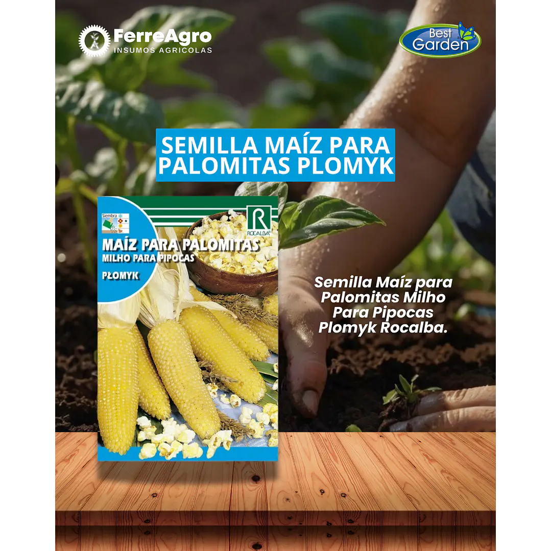 ROCALBA SEMILLA MAÍZ PARA PALOMITAS  1