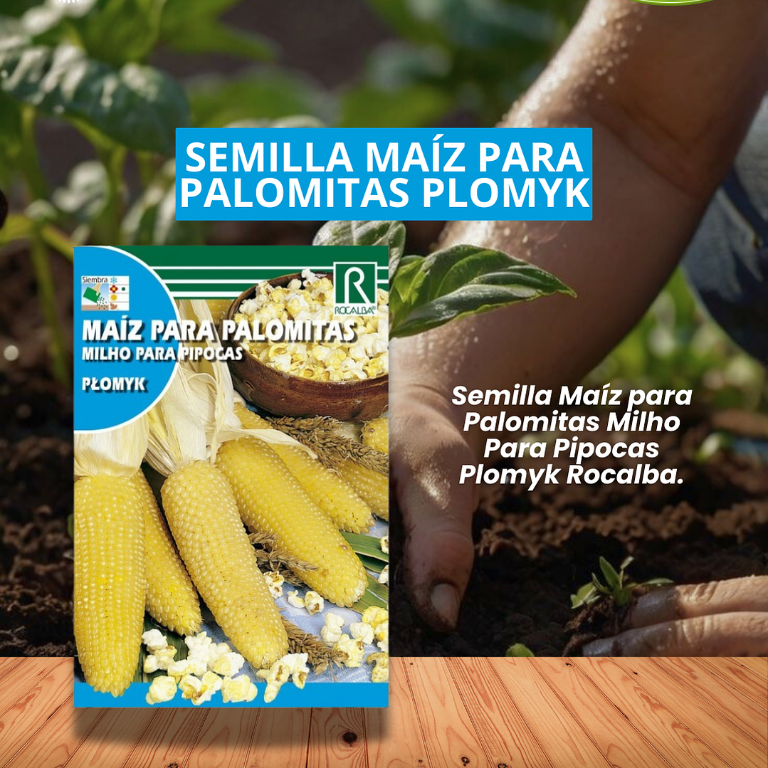 ROCALBA SEMMILLA MAÍZ PARA PALOMITAS/ BEST GARDEN  1