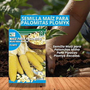 ROCALBA SEMMILLA MAÍZ PARA PALOMITAS/ BEST GARDEN 