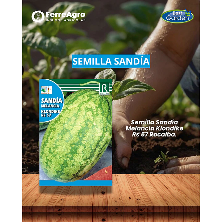ROCALBA SEMILLA SANDÍA 10 GRS 1