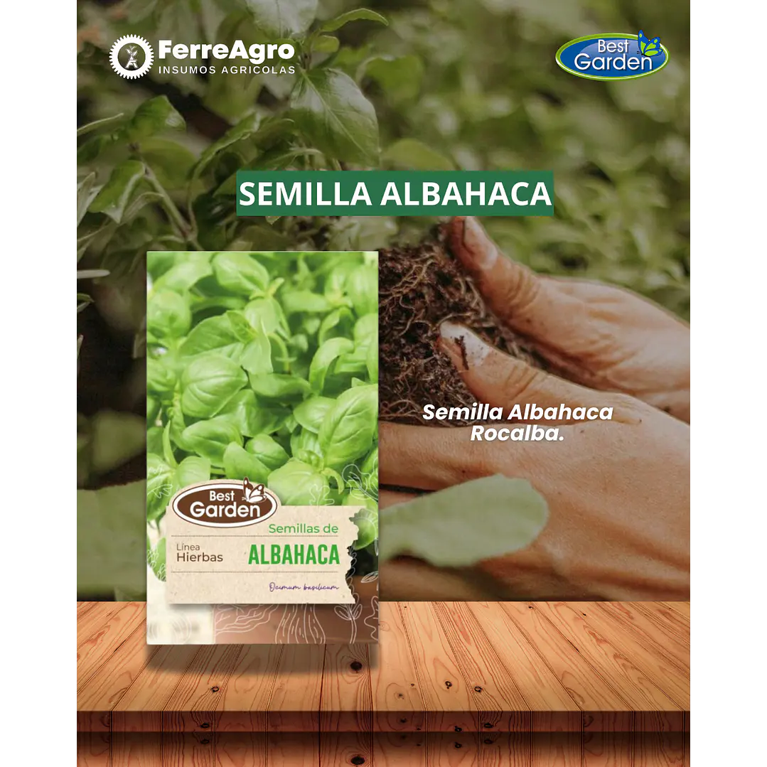 SEMILLA ALBAHACA 5 GRS / BEST GARDEN  1