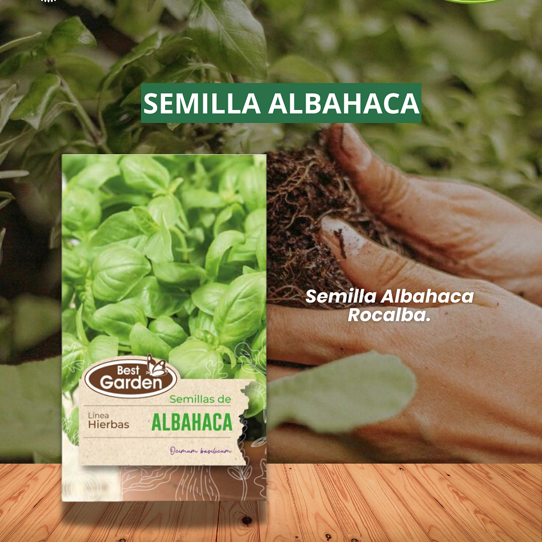 SEMILLA ALBAHACA 5 GRS / BEST GARDEN  1