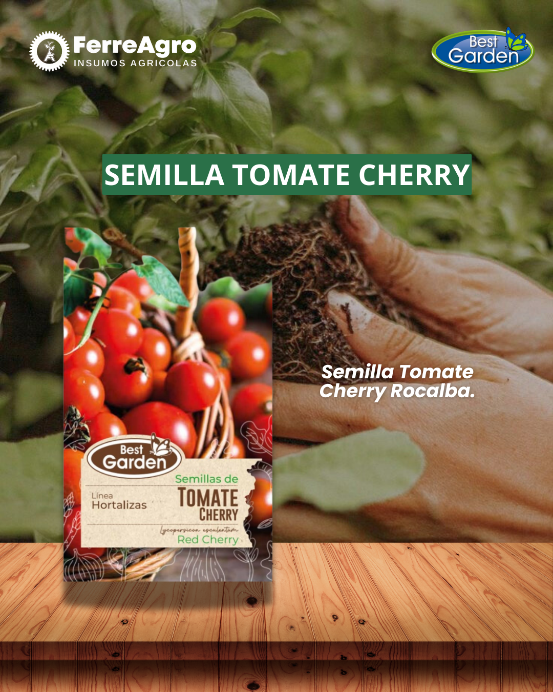 SEMILLA TOMATE CHERRY 1 GR  /BEST GARDEN