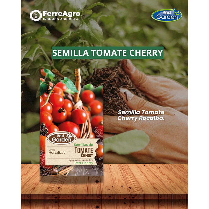 SEMILLA TOMATE CHERRY 1 GR  /BEST GARDEN  1