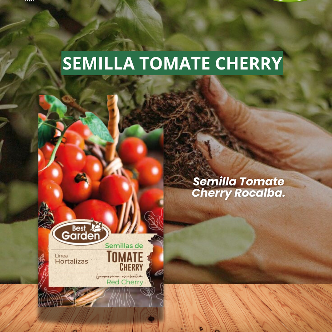 SEMILLA TOMATE CHERRY 1 GR  /BEST GARDEN  1