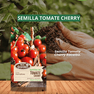SEMILLA TOMATE CHERRY 1 GR  /BEST GARDEN 