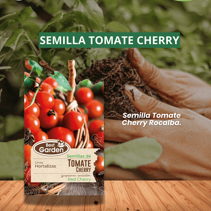 SEMILLA TOMATE CHERRY 1 GR  /BEST GARDEN  1