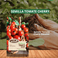 SEMILLA TOMATE CHERRY 1 GR  /BEST GARDEN  - Miniatura 1