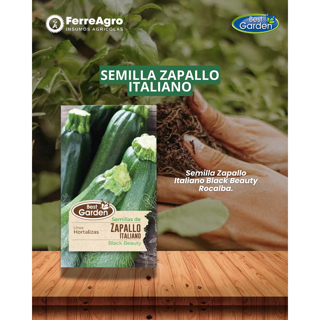 SEMILLA ZAPALLO ITALIANO  5 GRS / BEST GARDEN  1