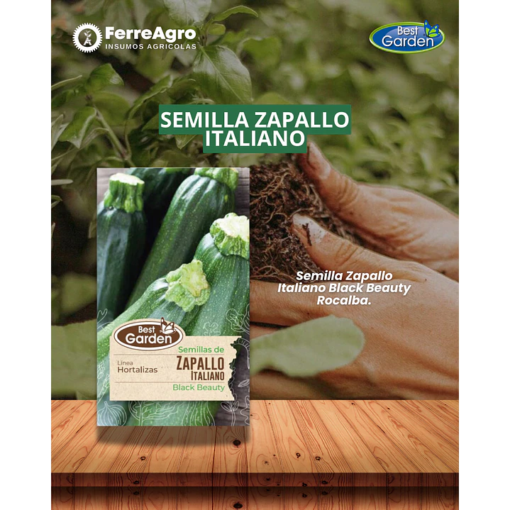 SEMILLA ZAPALLO ITALIANO  5 GRS / BEST GARDEN  1