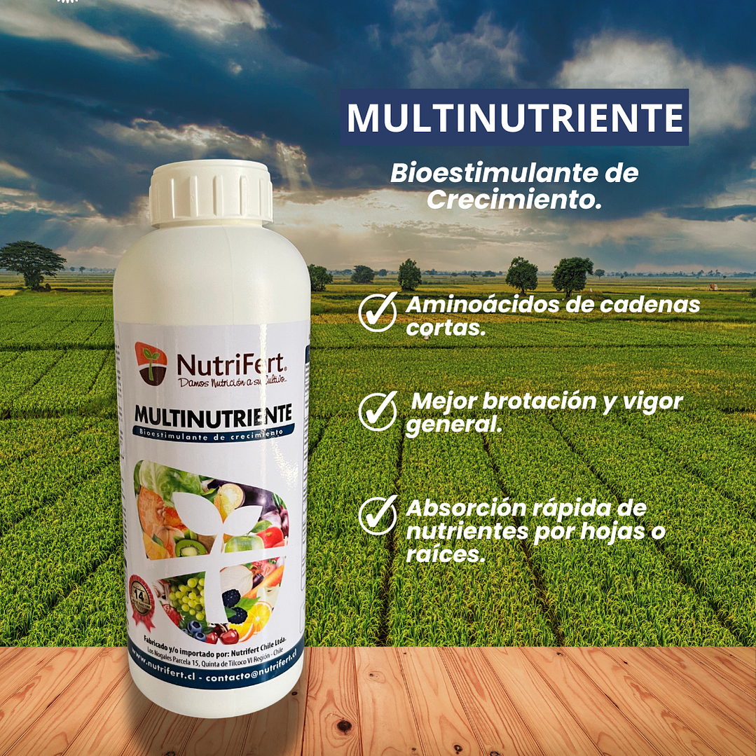 NUTRIFERT MULTINUTRIENTE 1 LITRO  1