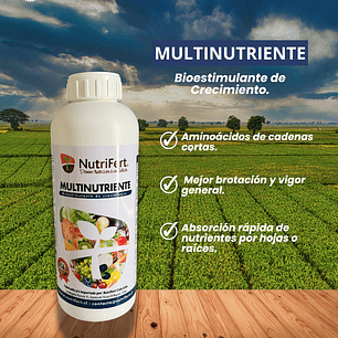 NUTRIFERT MULTINUTRIENTE 1 LITRO 