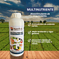 NUTRIFERT MULTINUTRIENTE 1 LITRO  - Miniatura 1