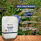 NUTRIFERT MULTINUTRIENTE  20 LITROS  - Miniatura 1