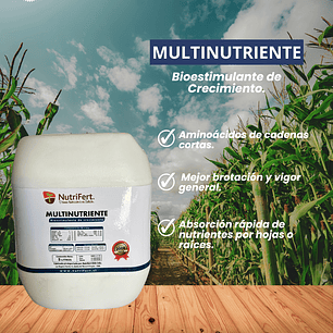 NUTRIFERT MULTINUTRIENTE 5 LITROS 