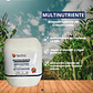 NUTRIFERT MULTINUTRIENTE 5 LITROS  - Miniatura 1