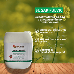 NUTRIFERT SUGAR FULVIC 5 LITROS 