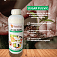 NUTRIFERT SUGAR FULVIC 1 LITRO   - Miniatura 1